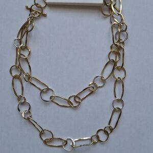 NWT Banana Republic Gold & Silver Chain Necklace